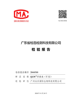 检测报告