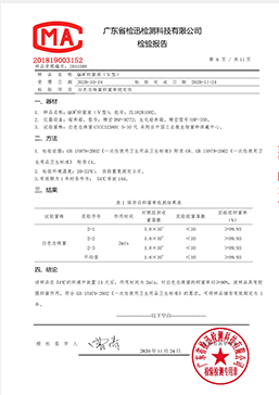 检测报告